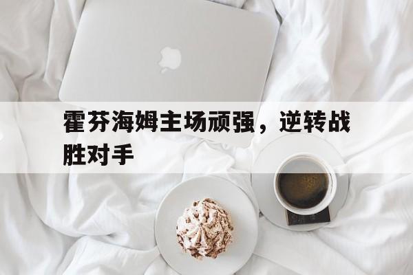 霍芬海姆主场顽强，逆转战胜对手的简单介绍